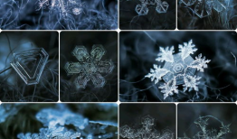 雪花视频,捕捉生活瞬间，记录美好时光